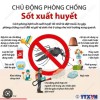 CHỦ ĐỘNG PHÒNG CHỐNG SỐT XUẤT HUYẾT